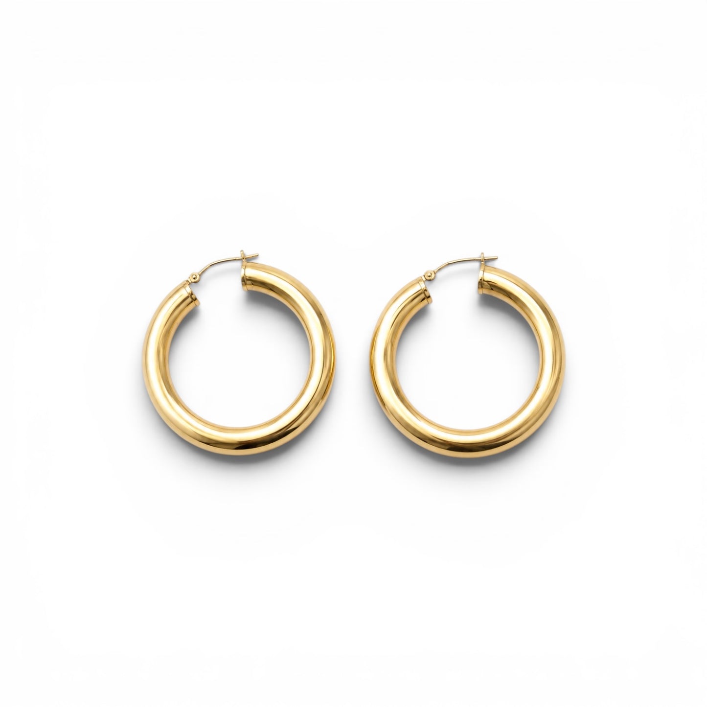 BOUCLES D'OREILLES - FERNANDE