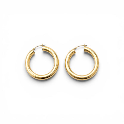 BOUCLES D'OREILLES - FERNANDE