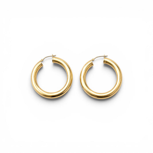 BOUCLES D'OREILLES - FERNANDE