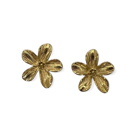 BOUCLES D'OREILLES - ÉVA
