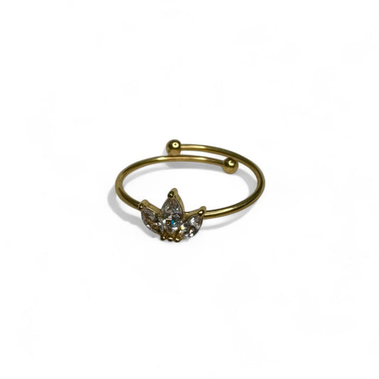 RING - ILDA
