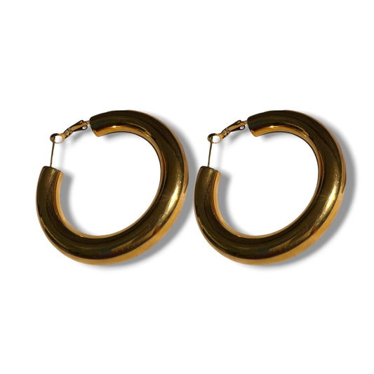 BOUCLES D'OREILLES - FERNANDE